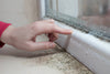 Dealing With Mould? Lossnay Might Be the Answer